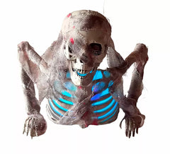 Skeleton with Light 54x42x22.5 cm