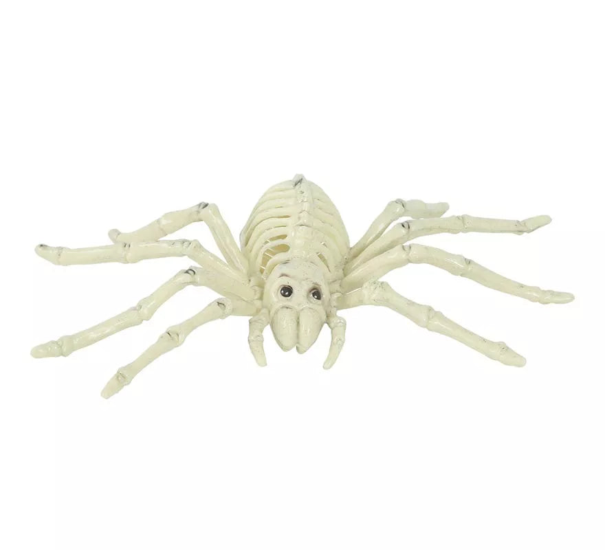 Esqueleto de Araña 24 Cm