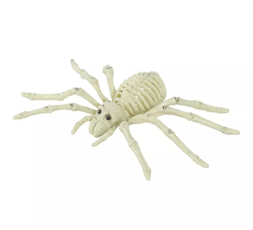 Esqueleto de Araña 24 Cm
