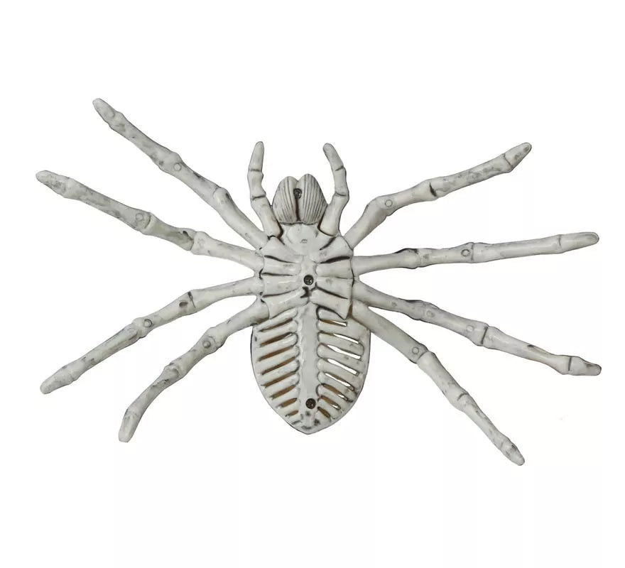 Esqueleto de Araña 24 Cm