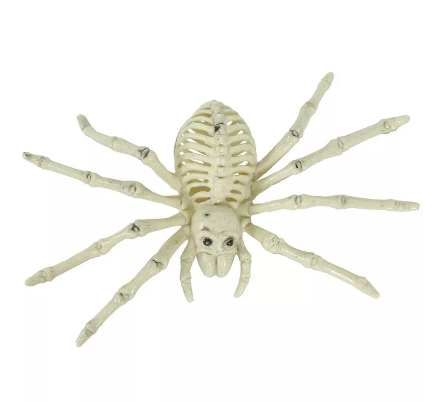 Translation missing: en.Esqueleto de Araña 24 Cm