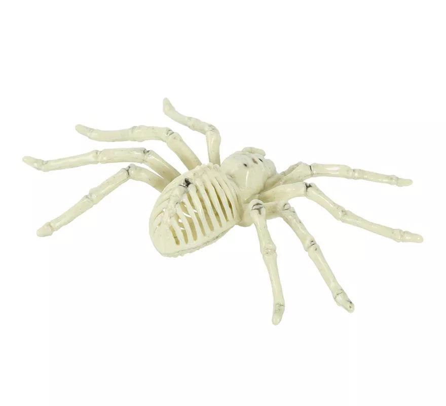 Translation missing: en.Esqueleto de Araña 24 Cm