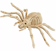 24cm Scary Spider Skeleton