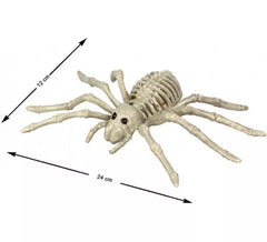Tarantula Spider Skeleton 24x12 cm