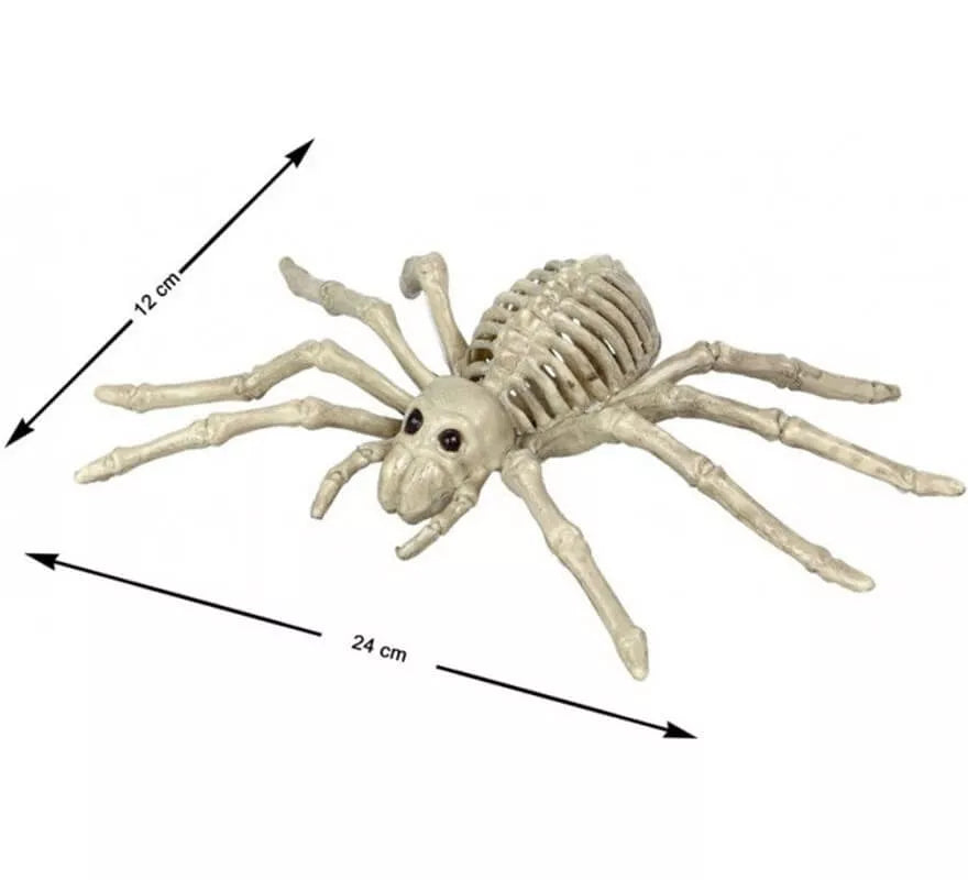Translation missing: en.Esqueleto de Araña Tarántula de 24x12 cm