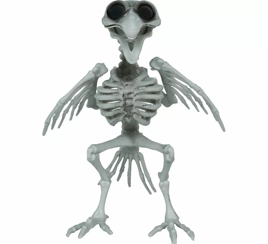 Esqueleto de Cuervo de 20 cm