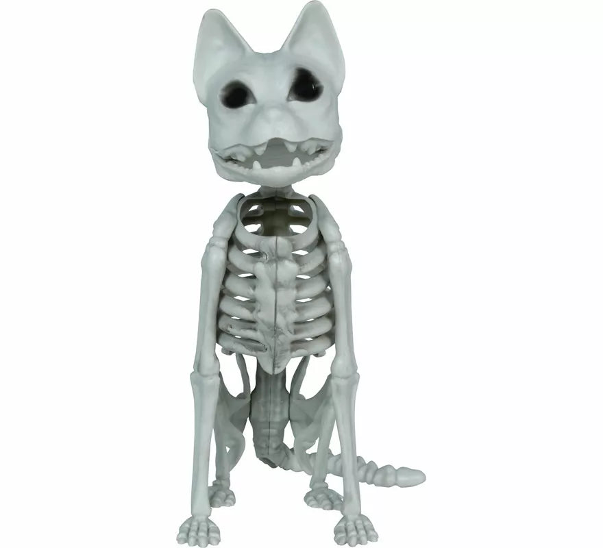 Translation missing: en.Esqueleto de Gato de 37 cm