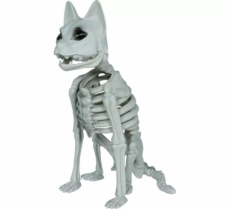 Translation missing: en.Esqueleto de Gato de 37 cm