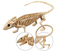 Iguana skeleton 43 cm
