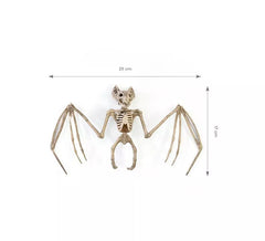 Beige Bat Skeleton 29x17 cm