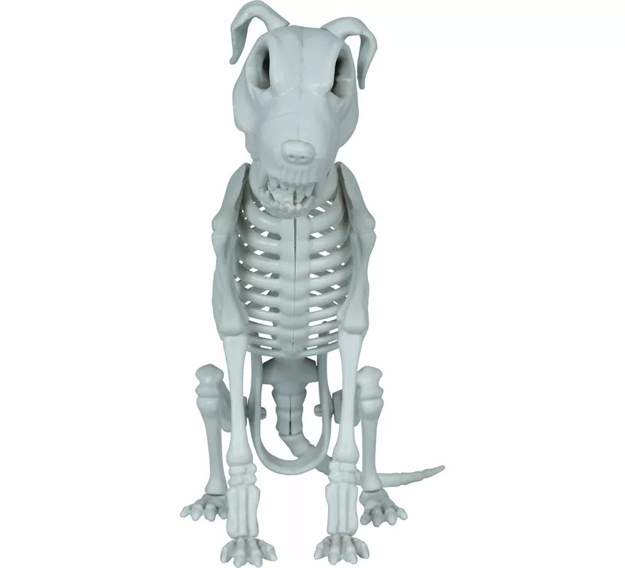 Translation missing: en.Esqueleto de Perro de 38 cm