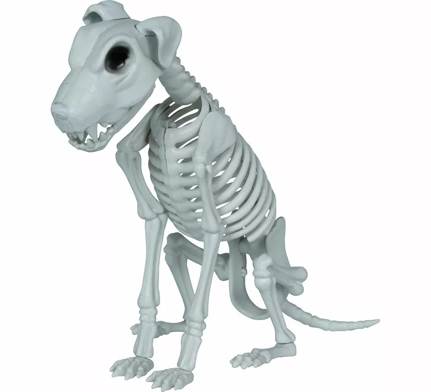 Esqueleto de Perro de 38 cm