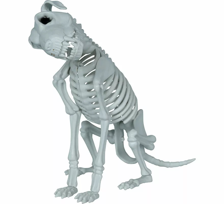 Translation missing: en.Esqueleto de Perro de 38 cm