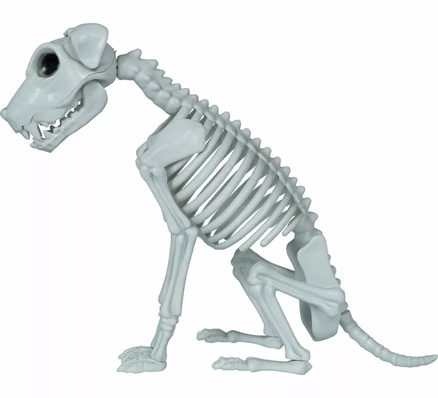 Translation missing: en.Esqueleto de Perro de 38 cm
