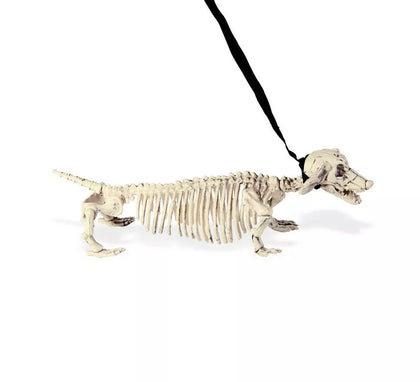 Esqueleto de Perro Salchicha con Correa de 55 cm