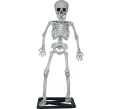 55cm Standing Skeleton
