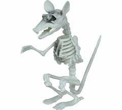 17 cm Rat Skeleton