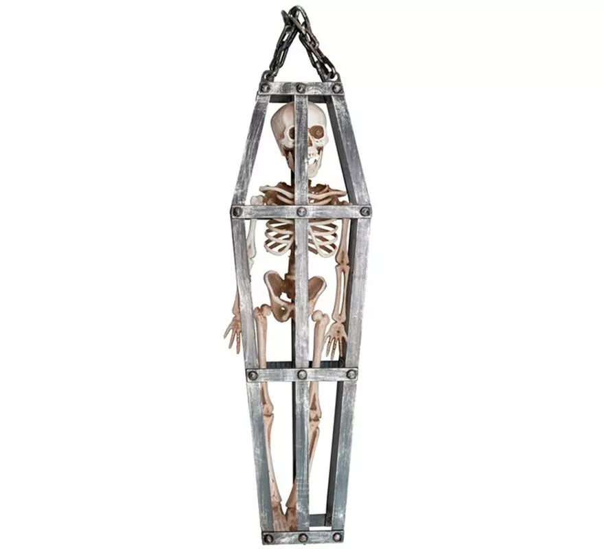 Esqueleto Enjaulado de 50 cm