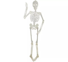 Fluorescent skeleton 152 cm