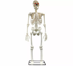 Giant Skeleton with Light of 310 cm