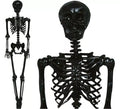 Esqueleto negro 160 cm