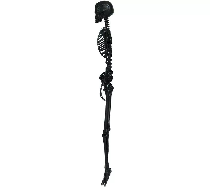 Esqueleto negro 90 cm