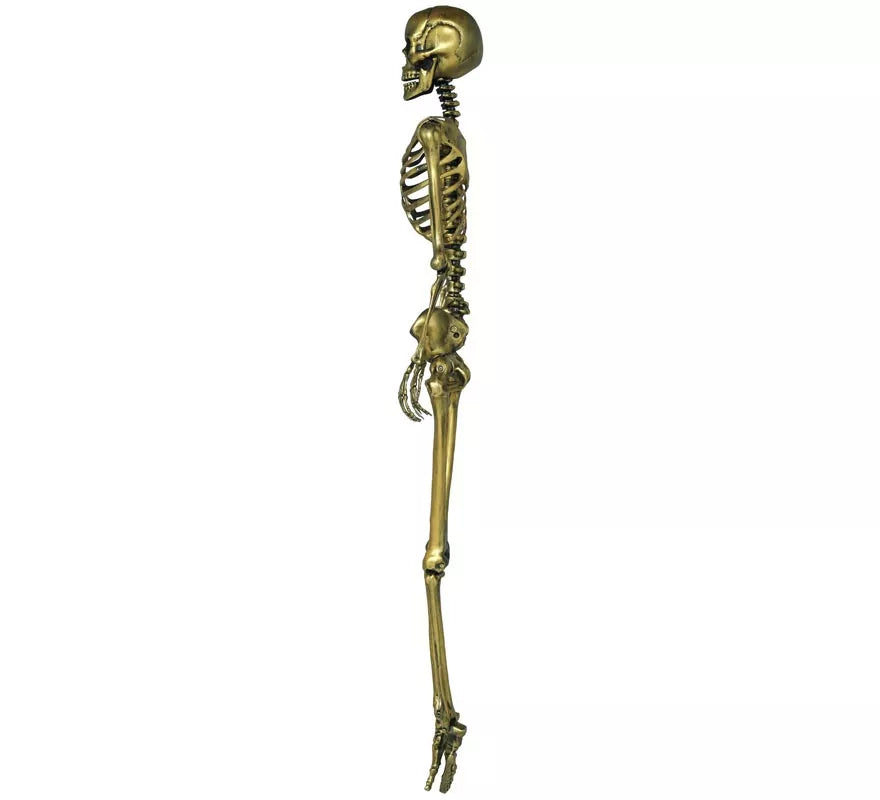 Esqueleto oro 160 cm
