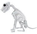 Esqueleto Perro