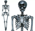 Esqueleto plata 160 cm