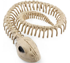 Snake Skeleton 16x3.5 cm