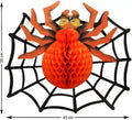 Farolillo con Araña y Telaraña 43X39 cm