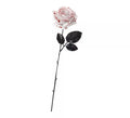 Flor blanca con Sangre de 42 cm