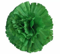 Carnation Flower with Clip for Flamencas and Chulapas in various colors