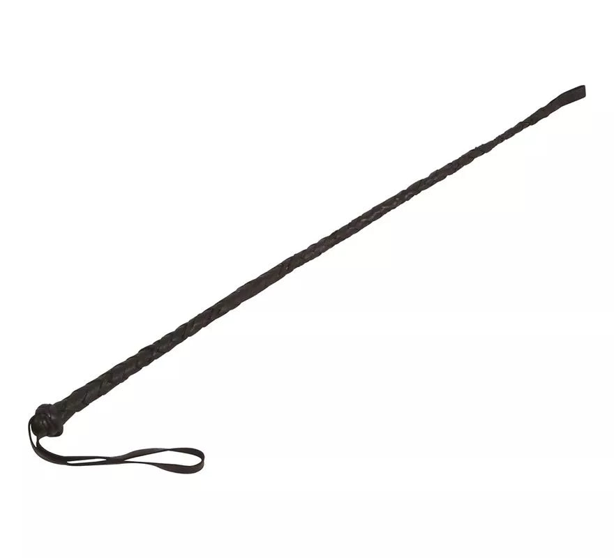Fusta Sadomasoquista o de Mando Militar