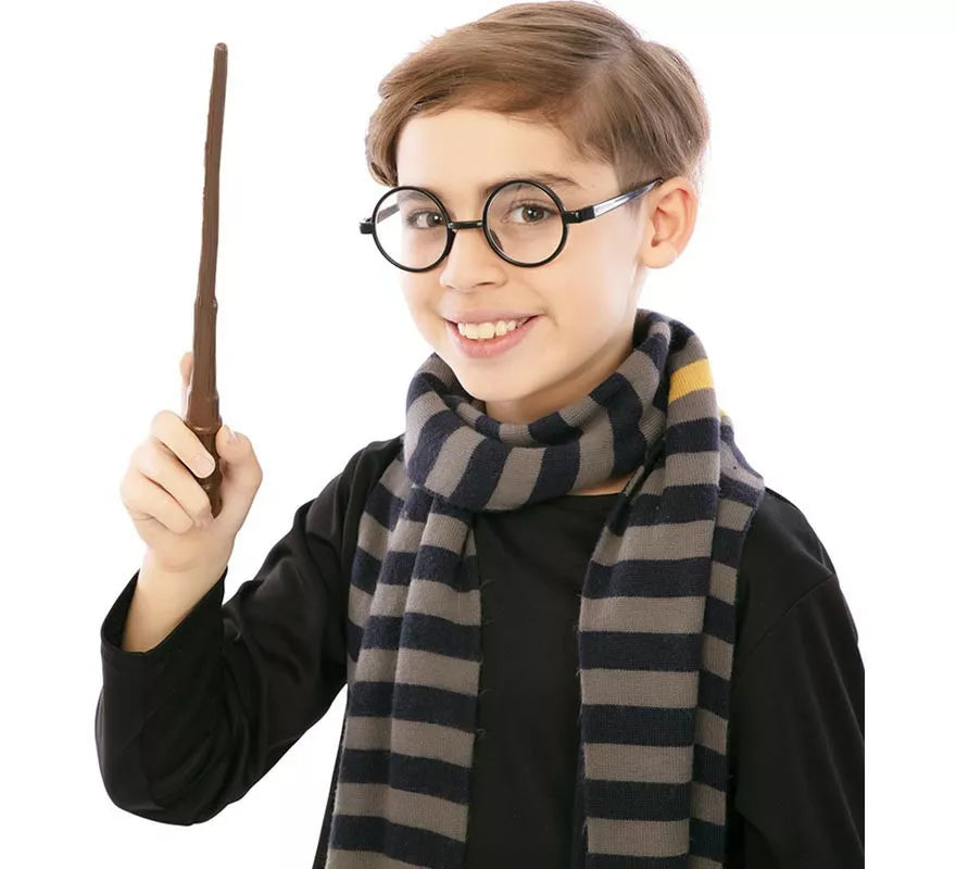 Gafas de Estudiante de Magia famoso infantil de 10x18 cm