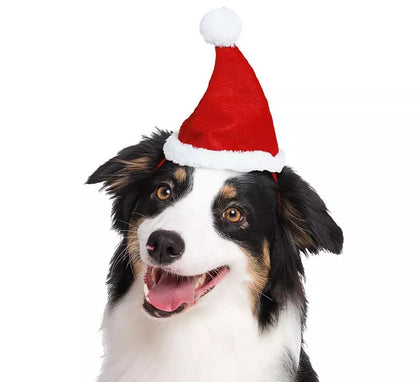 Gorro Navidad para perro