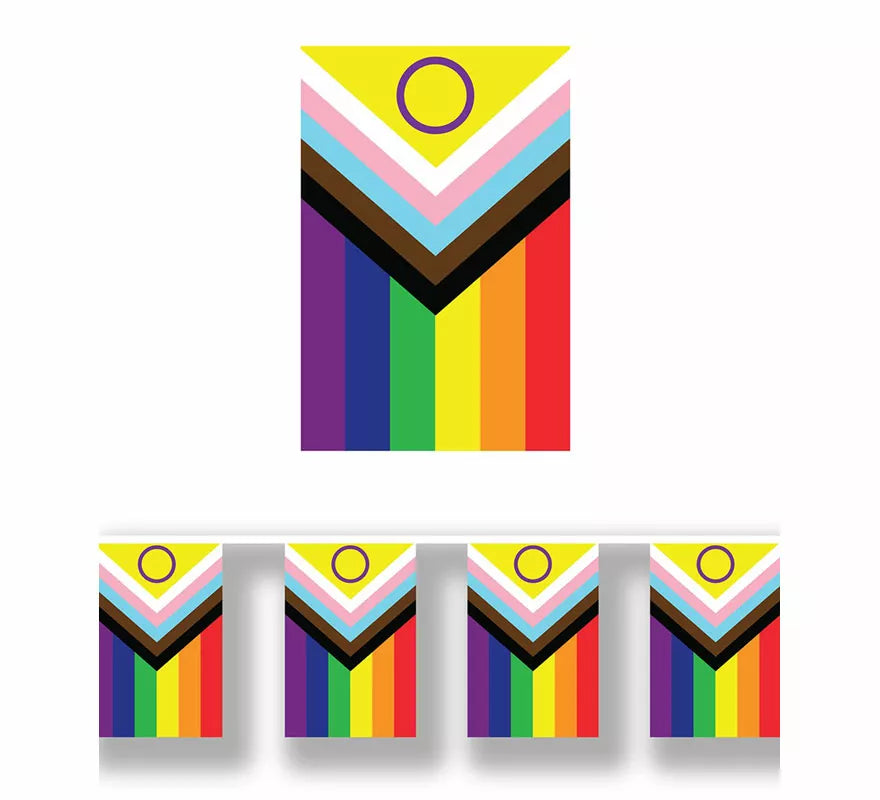 Guirnalda de Bandera Inclusiva de papel 2,5 m de 30x20 cm