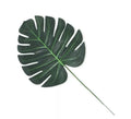 Hoja Tropical verde de Decoración