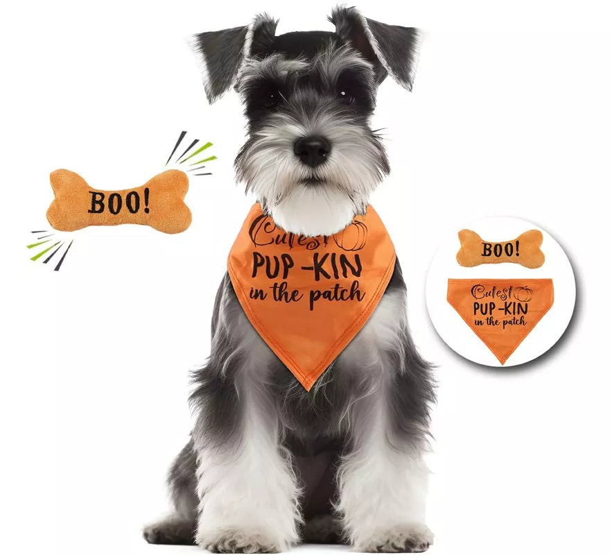 Kit de Calabaza para perro: Pañuelo y hueso