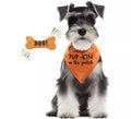 Kit de Calabaza para perro: Pañuelo y hueso