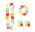 Kit de Hawaii multicolor: Collar, Pulsera y Pendientes