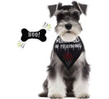 Kit de Hombre Lobo para perro: Pañuelo y hueso