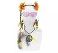 Kit de los Años 70: Cinta para la cabeza, Gafas, Pendientes y Collar