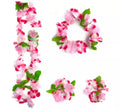 Kit Hawái Floral Fucsia: Collar, Pulseras y Tocado