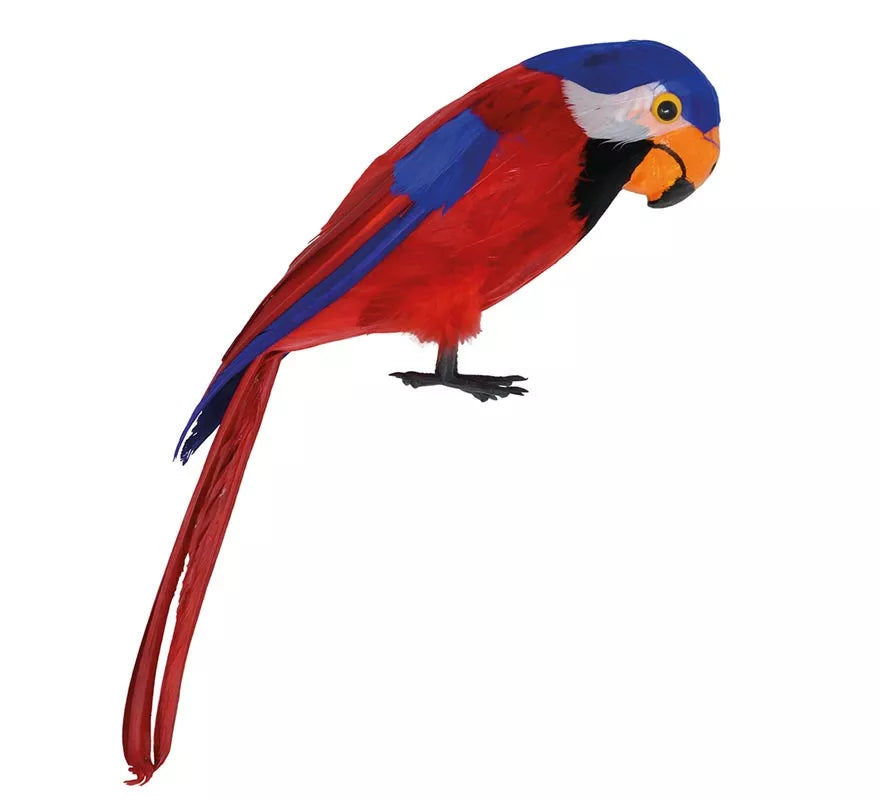 Loro Pirata de 40 cm