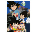 Manta polar Dragon Ball