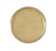 Make-up Cream 25g in various colours