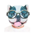 Máscara Bulldog lengua rosa estampado