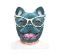Máscara Bulldog negro estampado