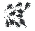 Pack de 10 Cucarachas negras de 7 cm